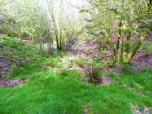 2.-Flowing-through-Parsons-Close-Plantation-4