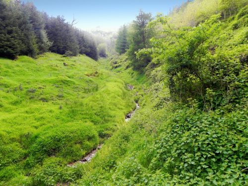 2.-Flowing-through-Parsons-Close-Plantation-5