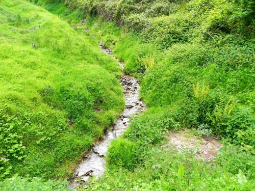 2.-Flowing-through-Parsons-Close-Plantation-6