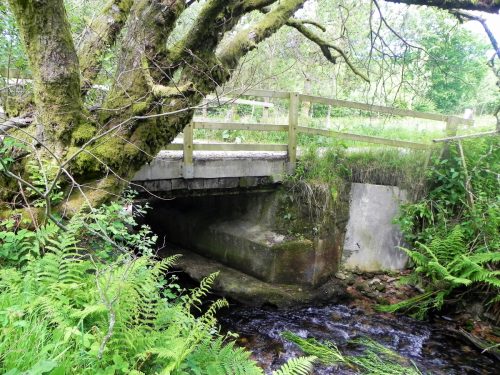 2.-Furzehill-Bridge-upstream-face