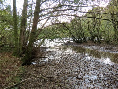 2.-Kentshill-pond-outflow-1