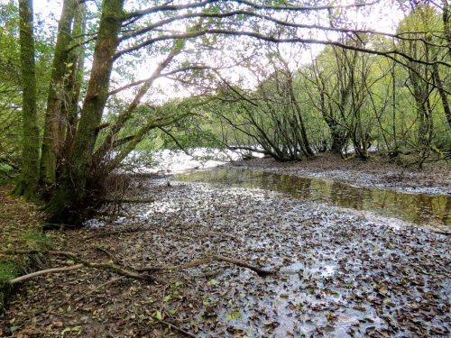 2.-Kentshill-pond-outflow-4