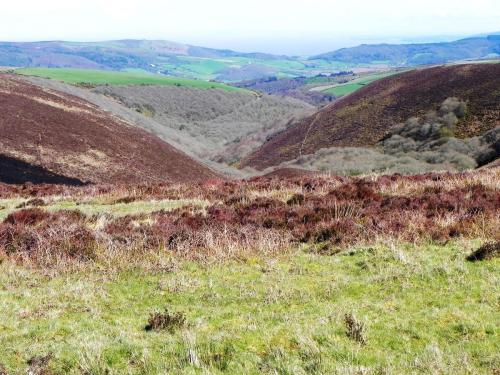 2.-Looking-down-Hawkcombe-from-Hawkcombe-Head-2