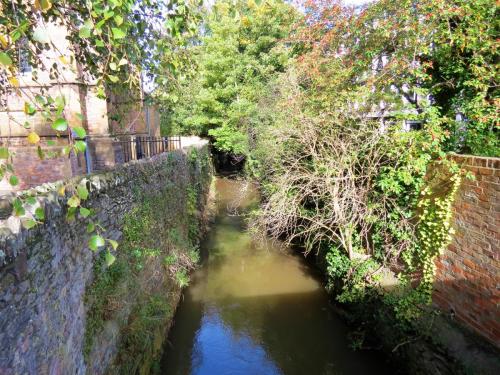 2.-Looking-downstream-from-Park-Street-culvert-2