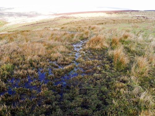 2.-Looking-downstream-from-source-2