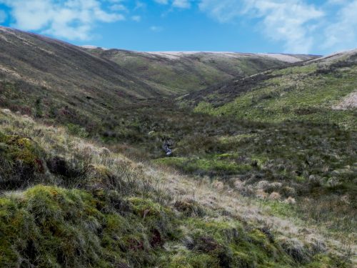 2.-Looking-up-Long-Holcombe-2