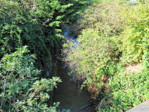 2.-Looking-upstream-from-Hankridge-Park-Road-Bridge-2