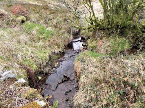 2.-Looking-upstream-from-Kinsford-Bridge-2