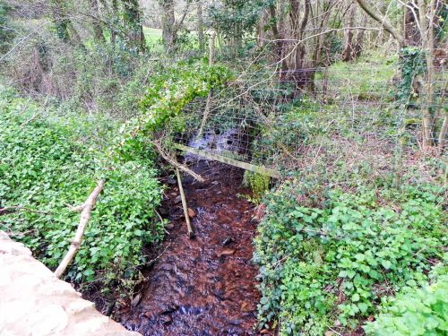 2.-Looking-upstream-from-Luccombe-Mill-Bridge-2