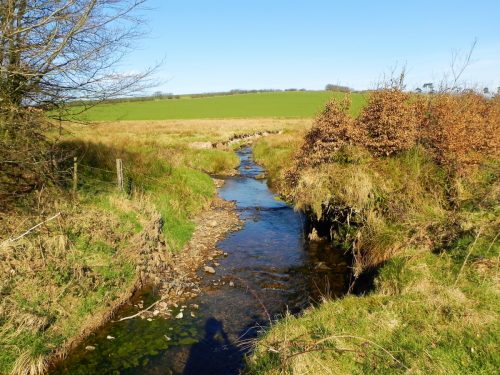 2.-Looking-upstream-from-Upper-Willingford-Bridge-2