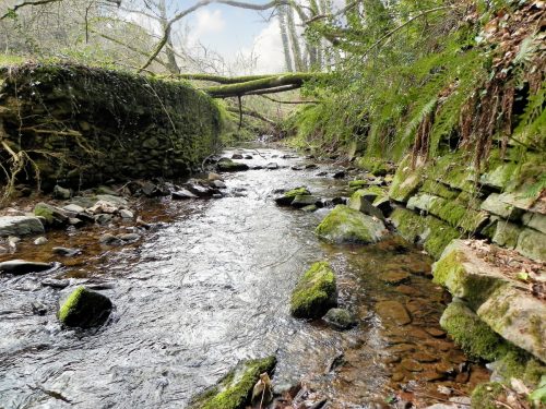 2.-Looking-upstream-from-old-saw-mill-weir-3