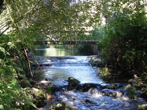 2.-Mill-Lane-Fish-Farm-footbridge-2