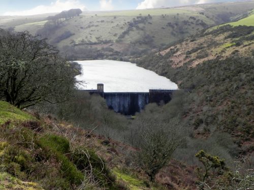 2.-Nutscale-Reservoir-2