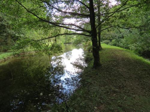 2.-Stawley-Mill-pond