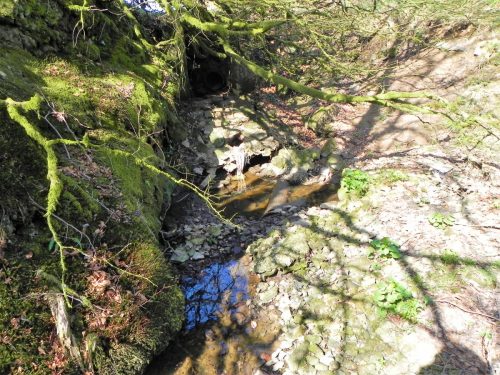 2.-The-early-stream-2 (1) (1)