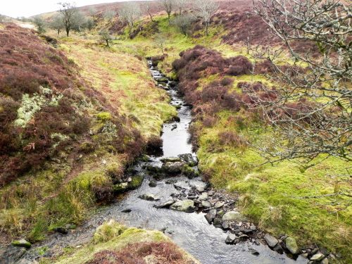2.-Tributary-stream-joins-2