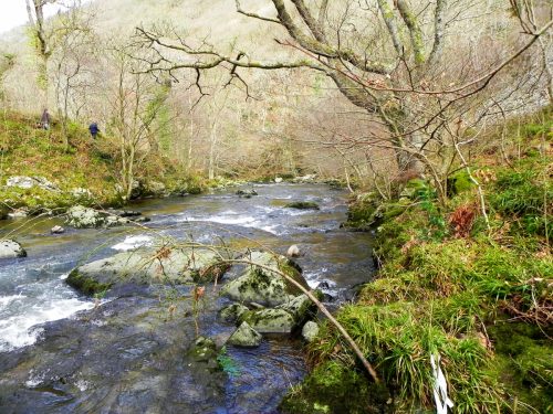 2.-Upstream-from-Chislecombe-Bridge-2