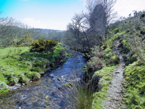 2.-Upstream-from-Cloggs-Farm-Footbridge-2