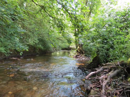 2.-Upstream-from-Footbridge