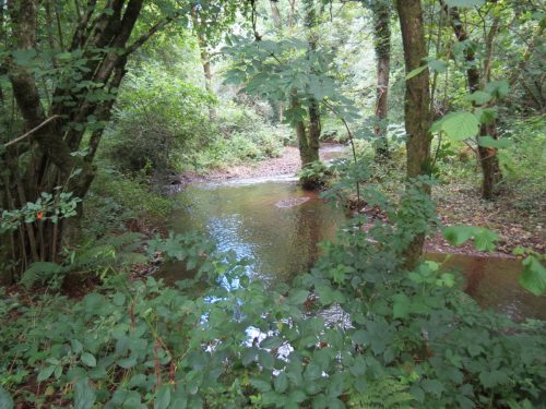 2.-Upstream-from-Manor-Mill
