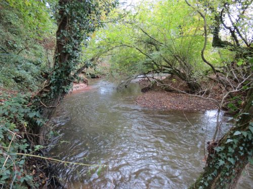 2.-Upstream-from-Meadlands