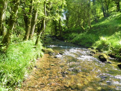 2.-Upstream-from-Ragstone-Cottages-2