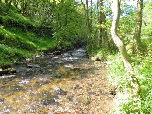 2.-Upstream-from-Ragstone-Cottages-3