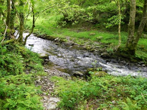 2.-Upstream-from-Ragstone-Cottages-4