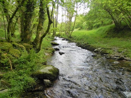 2.-Upstream-from-Ragstone-Cottages-5