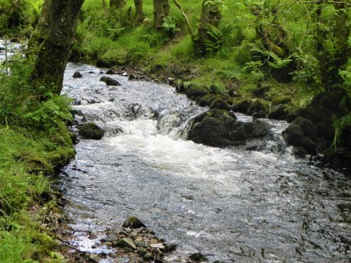 2.-Upstream-from-Ragstone-Cottages-7