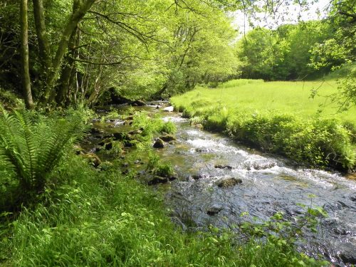 2.-Upstream-from-Ragstone-Cottages-8