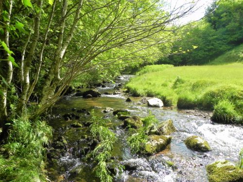 2.-Upstream-from-Ragstone-Cottages-9