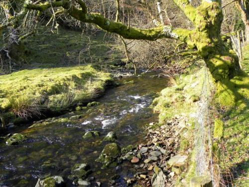 2.-Upstream-from-Roborough-Castle-Ford-2