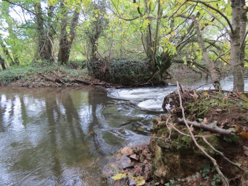 2.-Wellisford-Manor-Weir-1