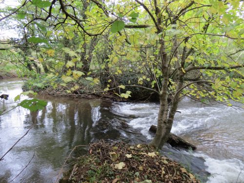2.-Wellisford-Manor-Weir-2