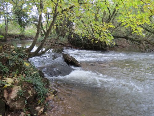 2.-Wellisford-Manor-Weir-3