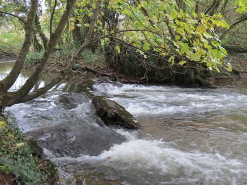 2.-Wellisford-Manor-Weir-4