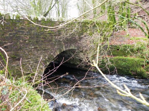 2.-West-Anstey-Bridge-Upstream-Arch-2