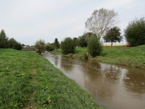20.-Downstream-from-Firepool-Weir-4