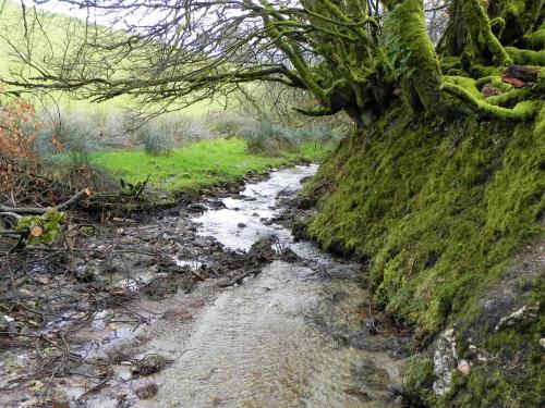 20.-Downstream-from-Little-ash-Combe-2