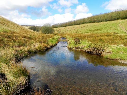 20.-Downstream-from-Long-Holcombe-Water-2