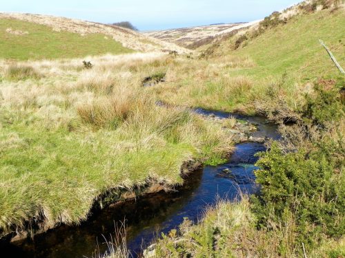 20.-Downstream-from-Madacombe-Bridge-B-2