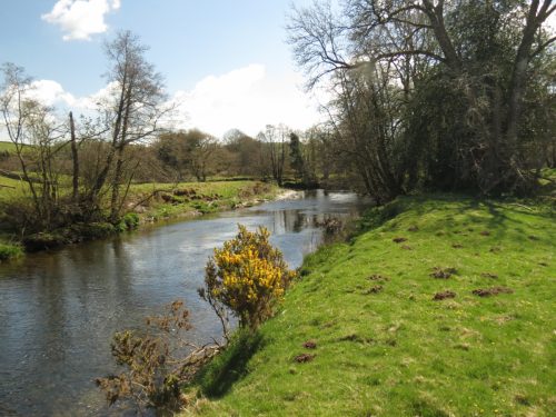 20.-Downstream-from-Perrys-Weir-11