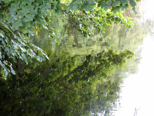 20.-Downstream-from-Perrys-Weir-16