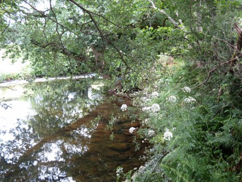 20.-Downstream-from-Perrys-Weir-18