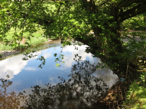 20.-Downstream-from-Perrys-Weir-3