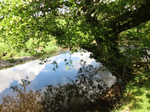 20.-Downstream-from-Perrys-Weir-4