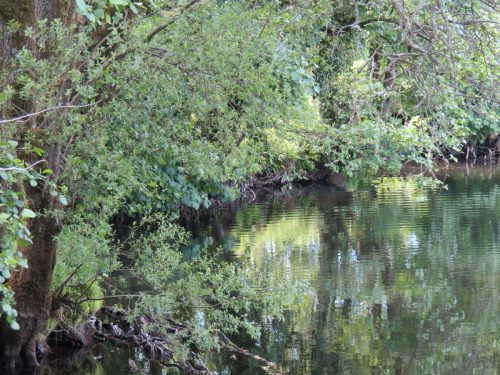 20.-Downstream-from-Perrys-Weir-5
