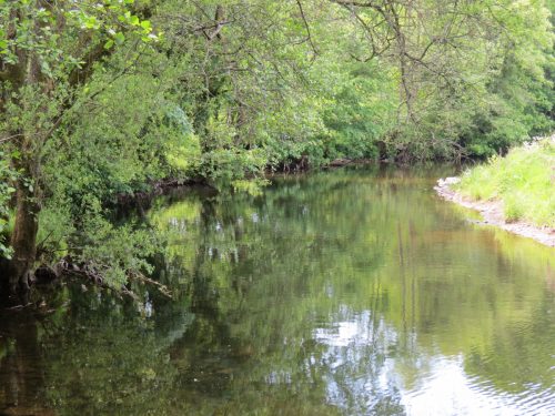 20.-Downstream-from-Perrys-Weir-6