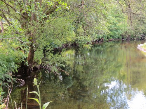 20.-Downstream-from-Perrys-Weir-7